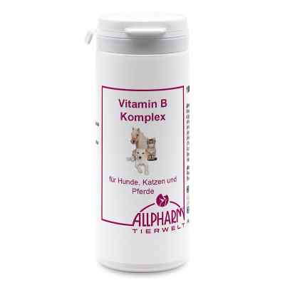 Vitamin B Komplex Kapseln für Hunde