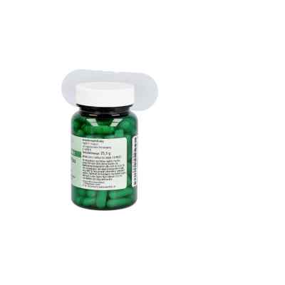 Vitamin B12 Kapseln