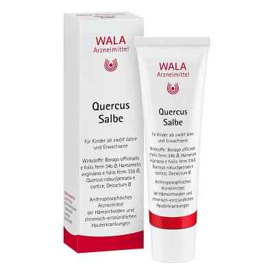 Wala Quercus Salbe