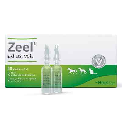 Zeel Ampullen veterinär