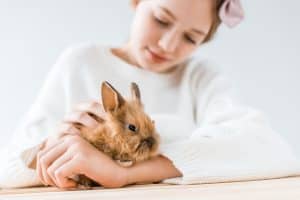 Alle Haustiere können eine Haustierallergie auslösen