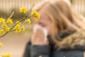 Es gibt verschiedene Formen der Kreuzallergie