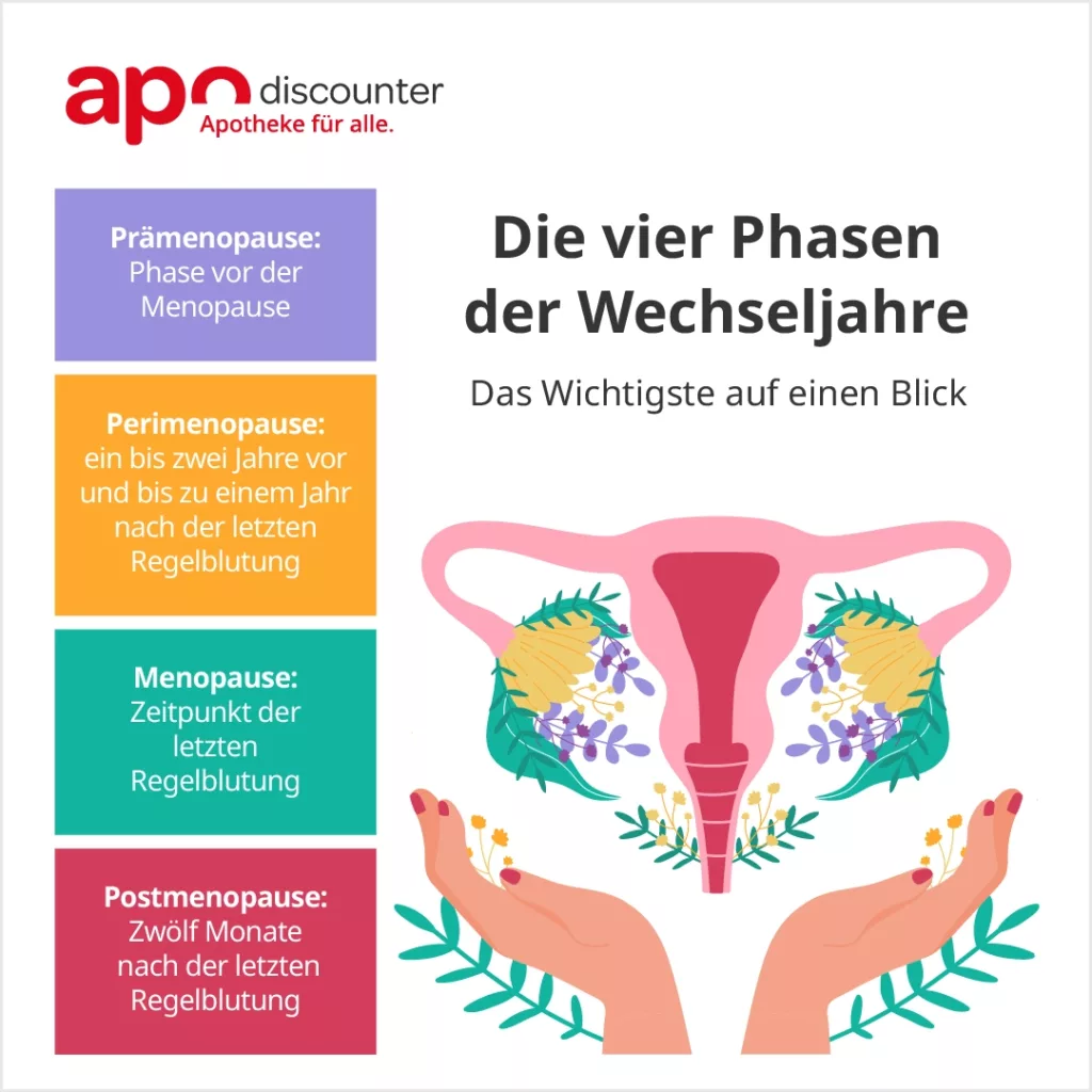 Infografik zu den 4 Phasen der Wechseljahre: Prämenopause, Perimenopause, Menopause und Postmenopause