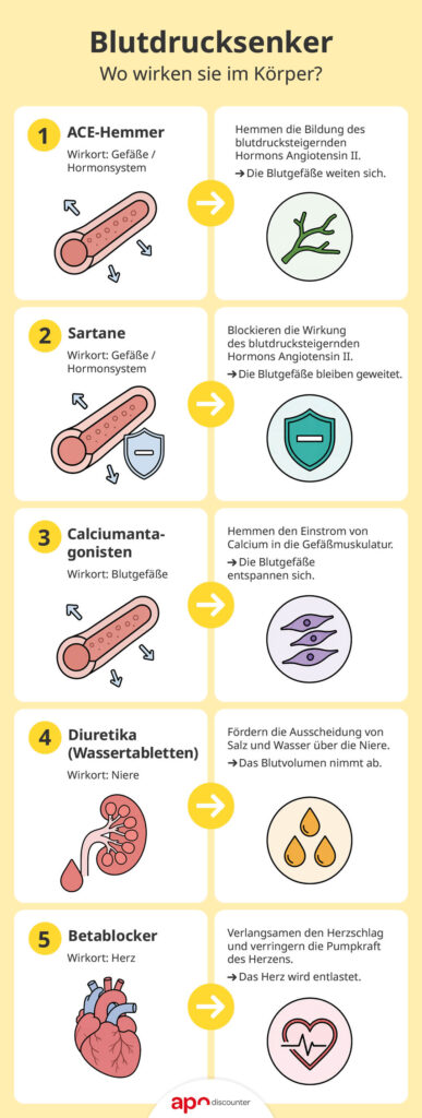 Blutdrucksenker: Wo wirken sie im Körper?