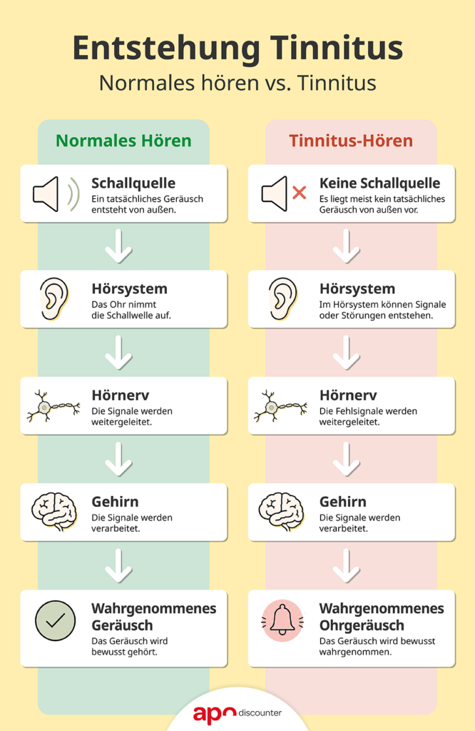 Infografik zur Entstehung von Tinnitus im Vergleich zum normalen Hören mit Darstellung der Signalverarbeitung im Hörsystem.