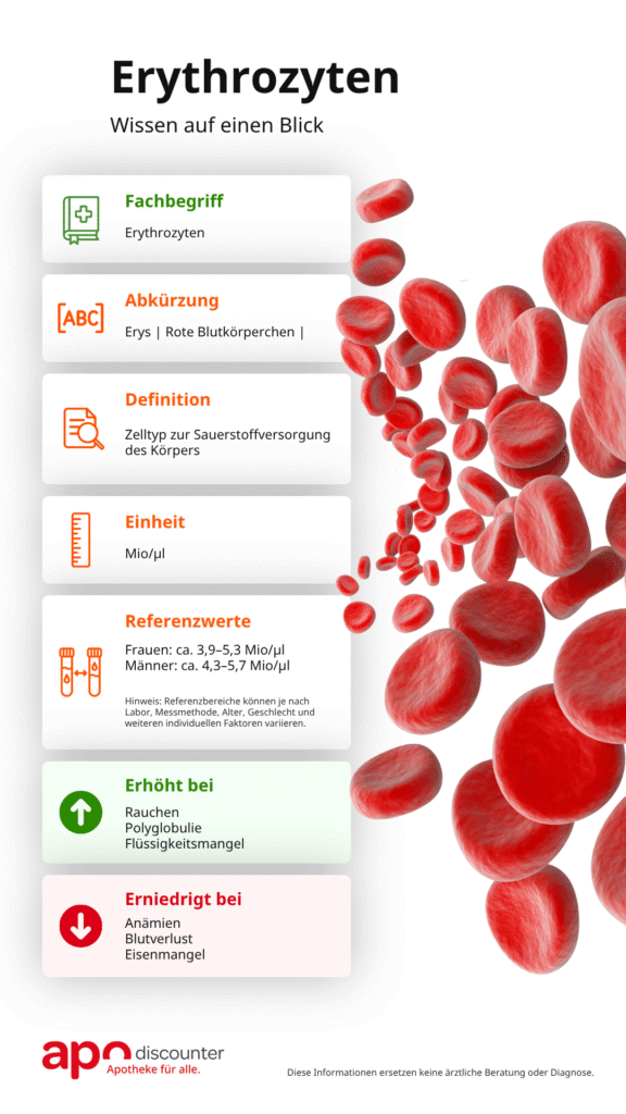 Erythrozyten-Steckbrief mit Definition, Einheit, Referenzwerten und möglichen Abweichungen