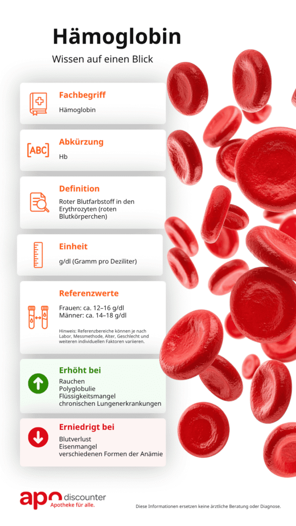 Hämoglobin-Steckbrief mit Definition, Einheit, Referenzwerten und möglichen Abweichungen