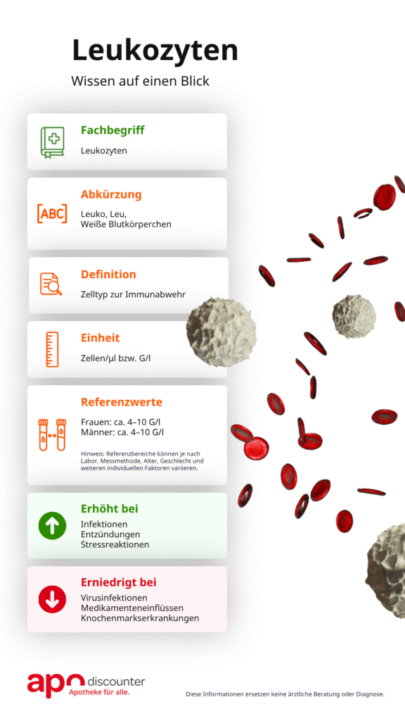 Informativer Steckbrief zum Laborwert Leukozyten